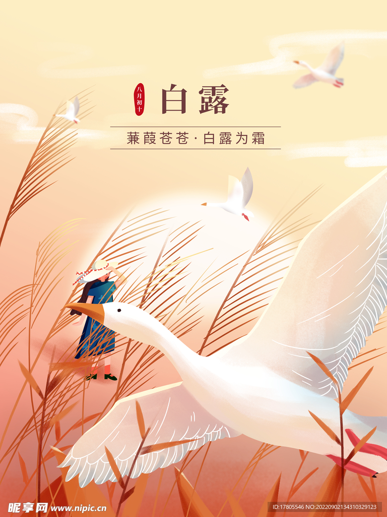 白露海报 中国风  传统节日 