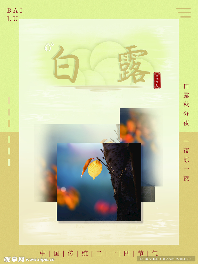 白露海报 中国风  传统节日 