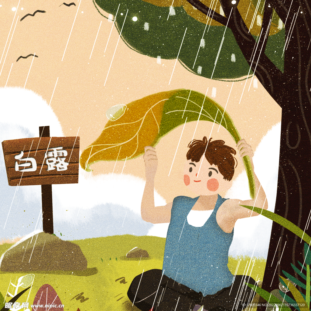 白露海报 中国风  传统节日 