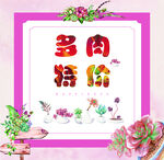 多肉特价