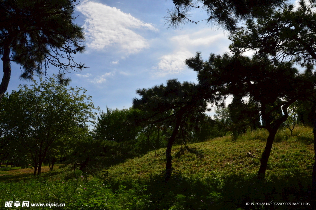 公园风景