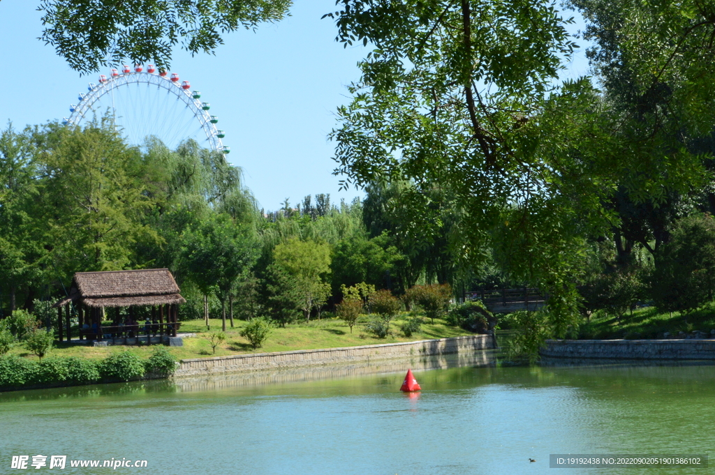 公园风景 