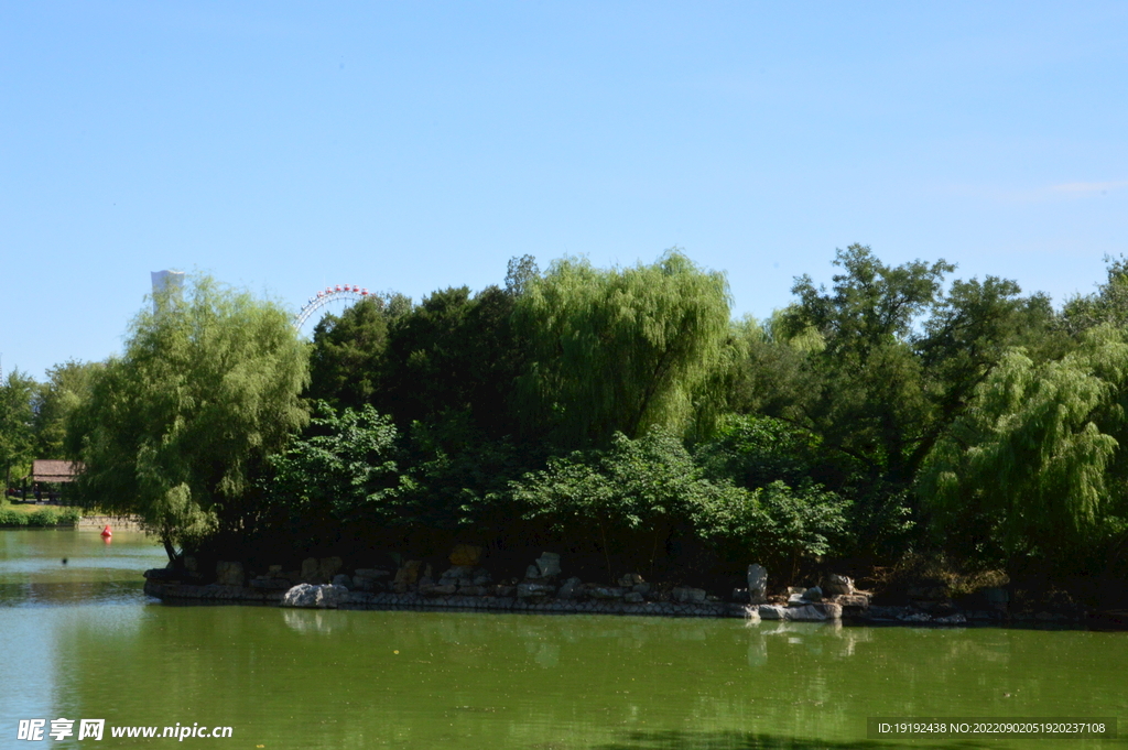 公园风景