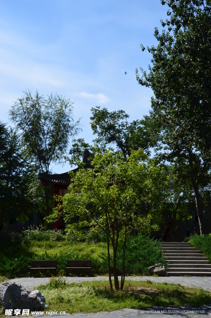 公园风景 