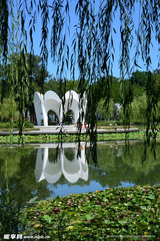 公园风景 