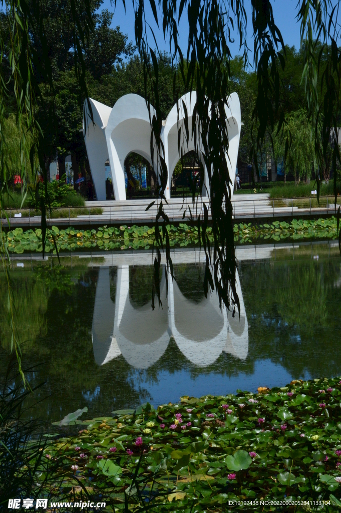 公园风景 