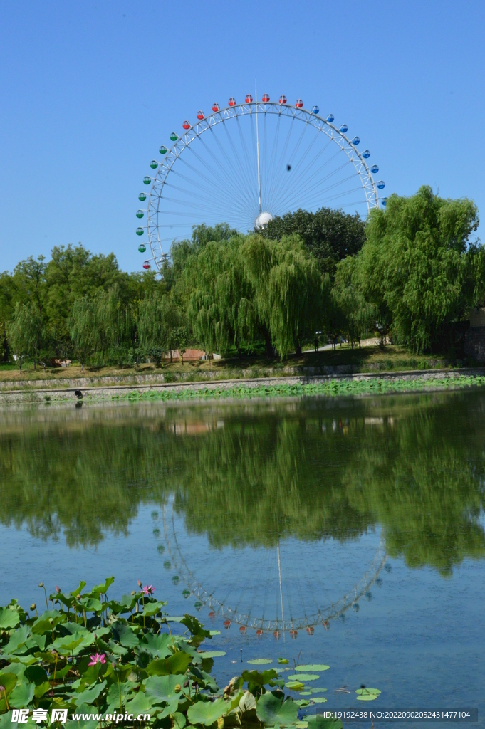 公园风景