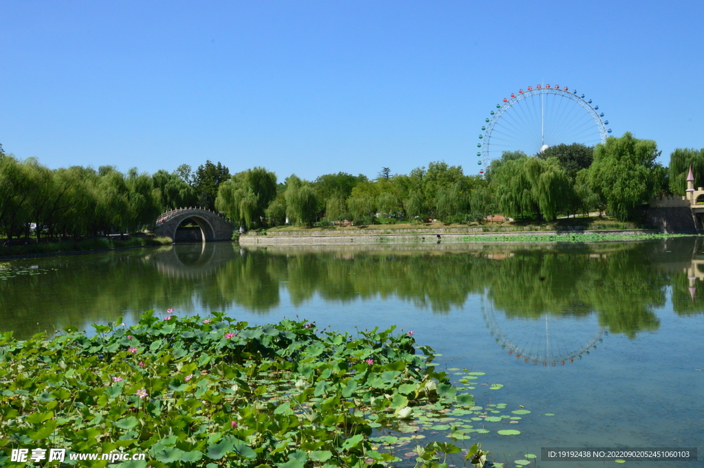 公园风景