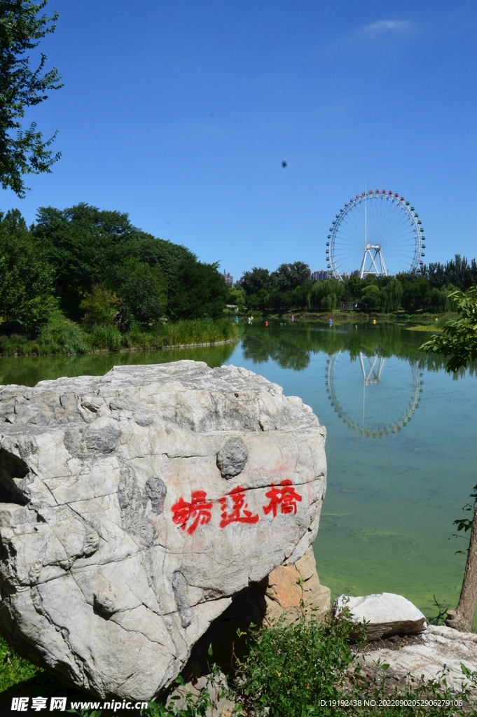 公园风景 