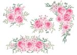 蔷薇花束手绘插画