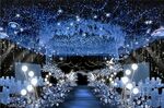 星空婚礼