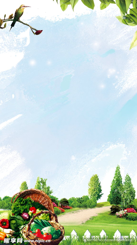 蔬菜背景