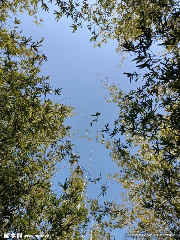 天空 