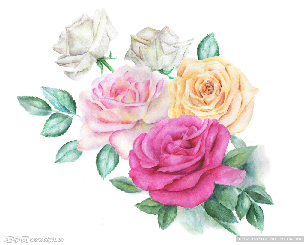  手绘花