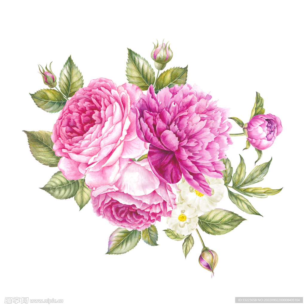 手绘花