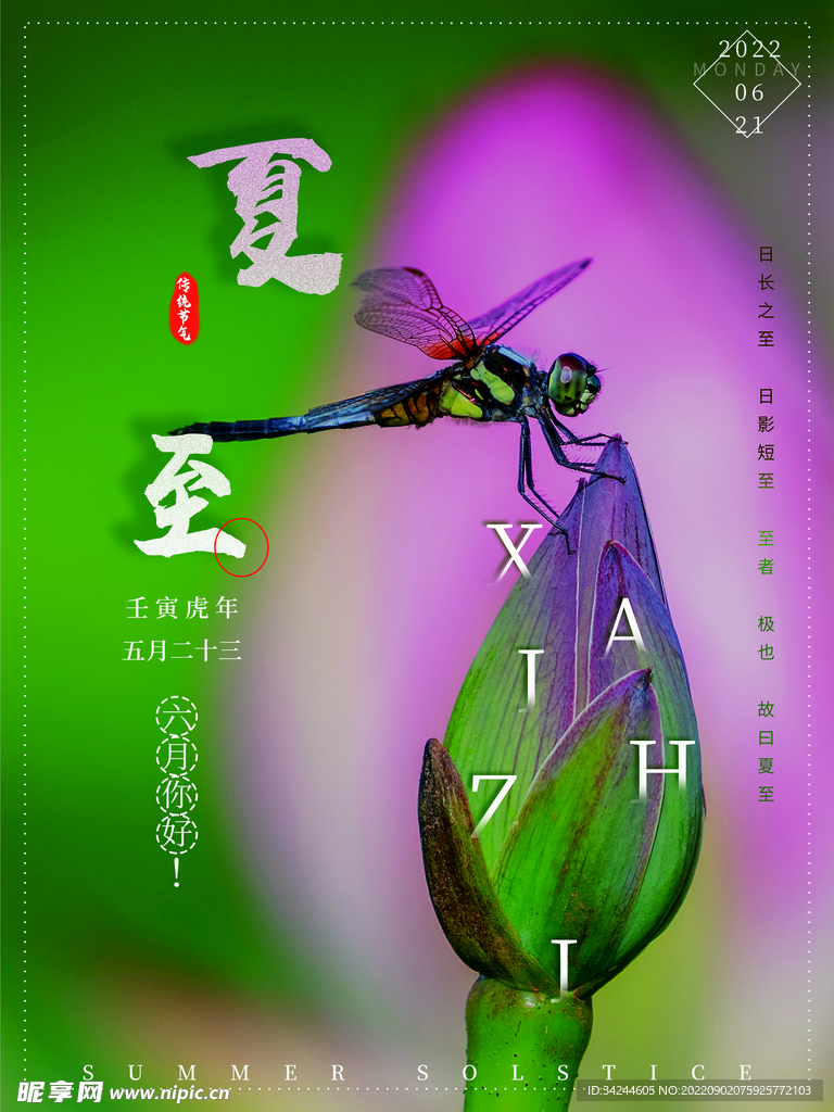 夏至节气海报