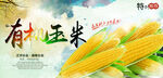 蔬菜