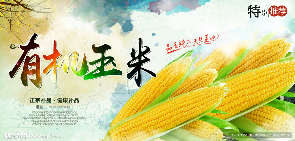 蔬菜