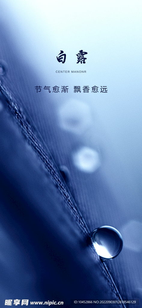 白露