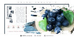 蓝莓  水果海报展板