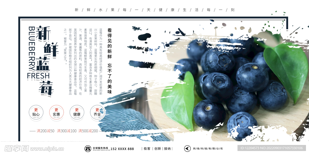 蓝莓  水果海报展板