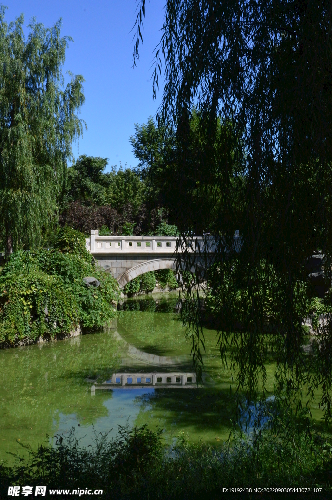 园林风景 