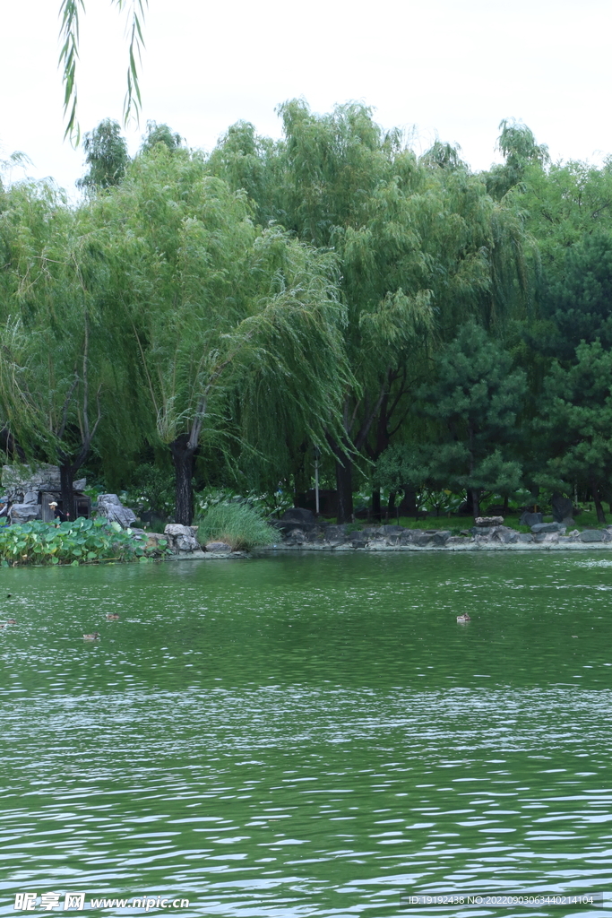公园风景 
