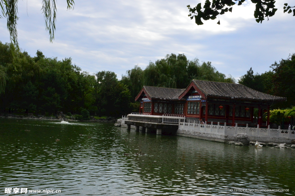公园风景 