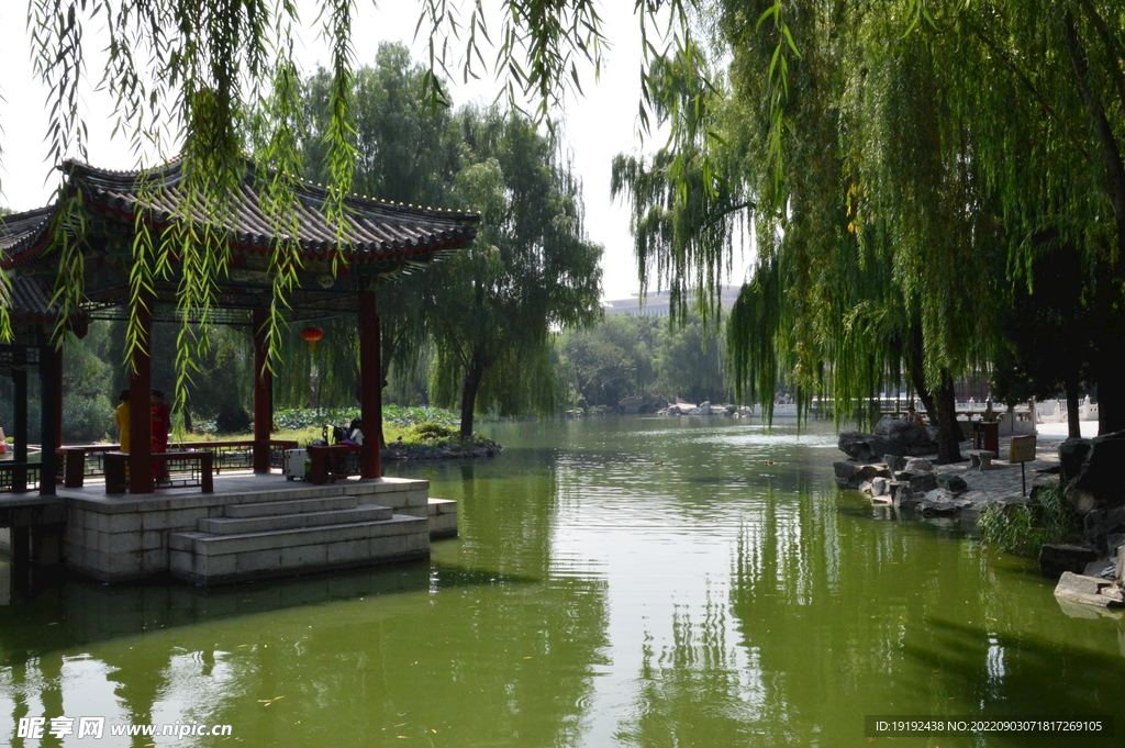 公园风景 