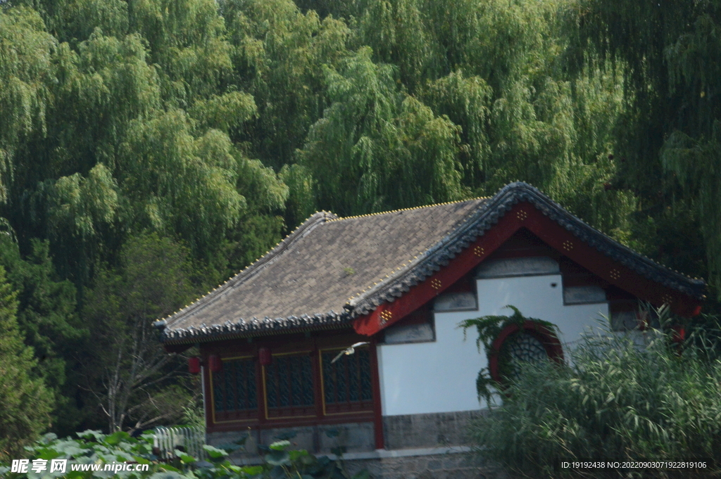 公园风景 