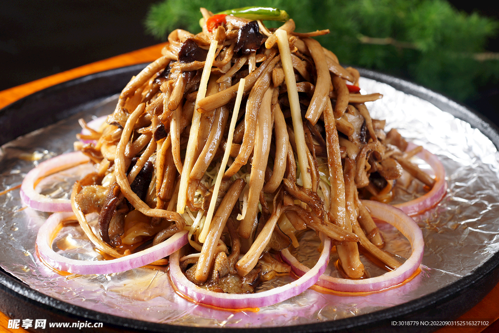 铁板茶菇