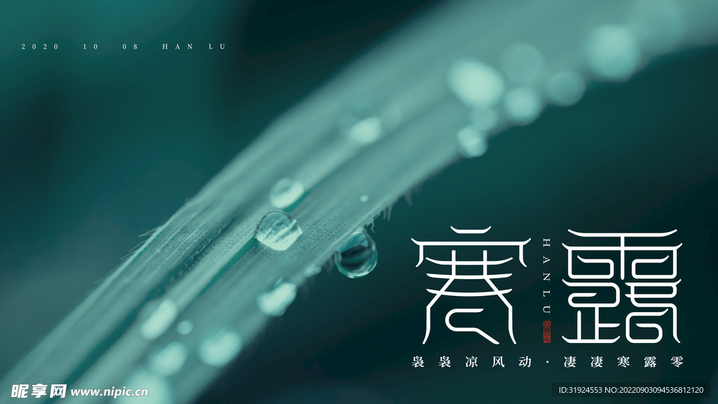 寒露海报 