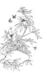 白描花卉