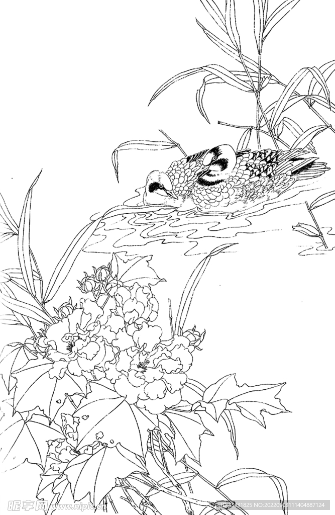 白描花卉