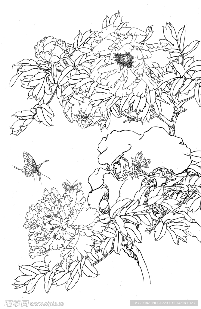 白描花卉