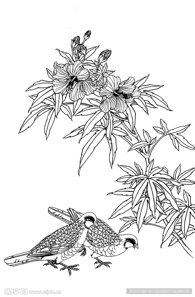 白描花卉