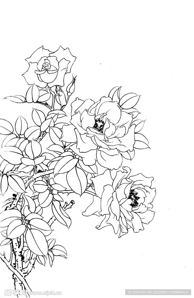 白描花卉