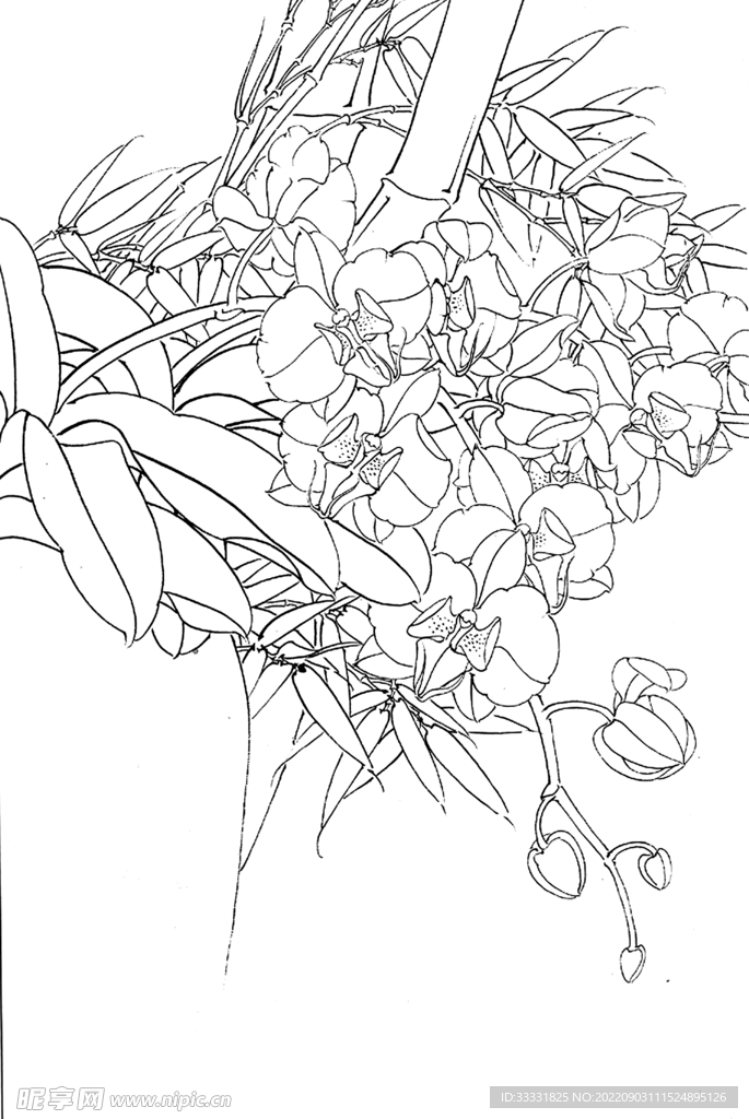 白描花卉