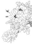 白描花卉