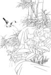 白描花卉