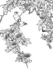 白描花卉