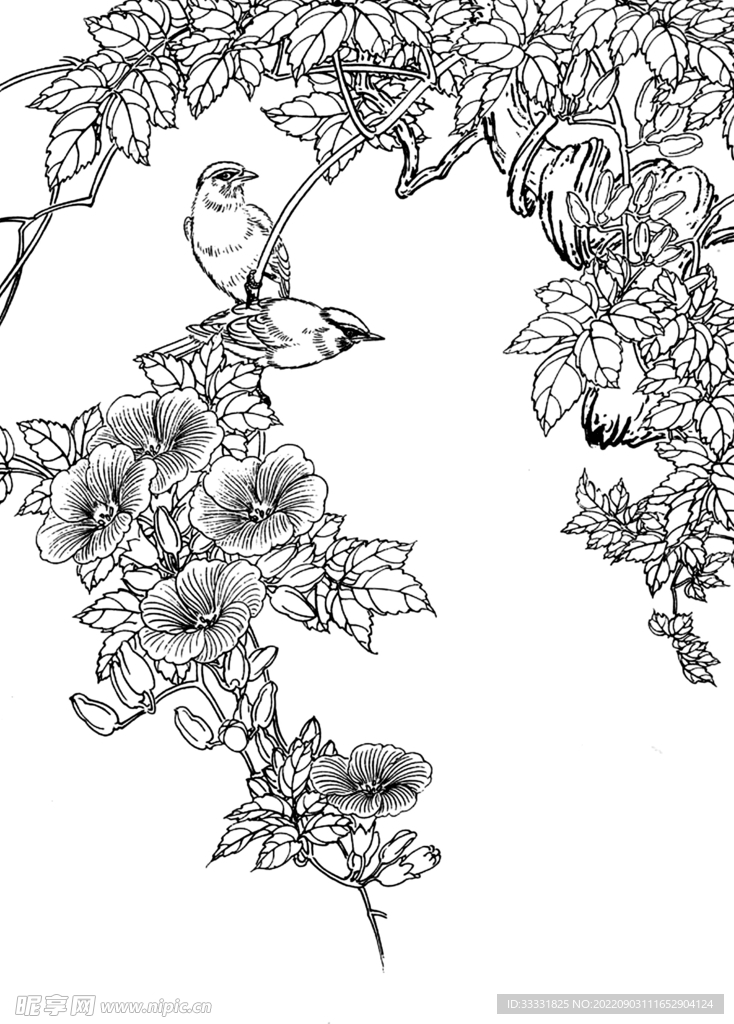 白描花卉