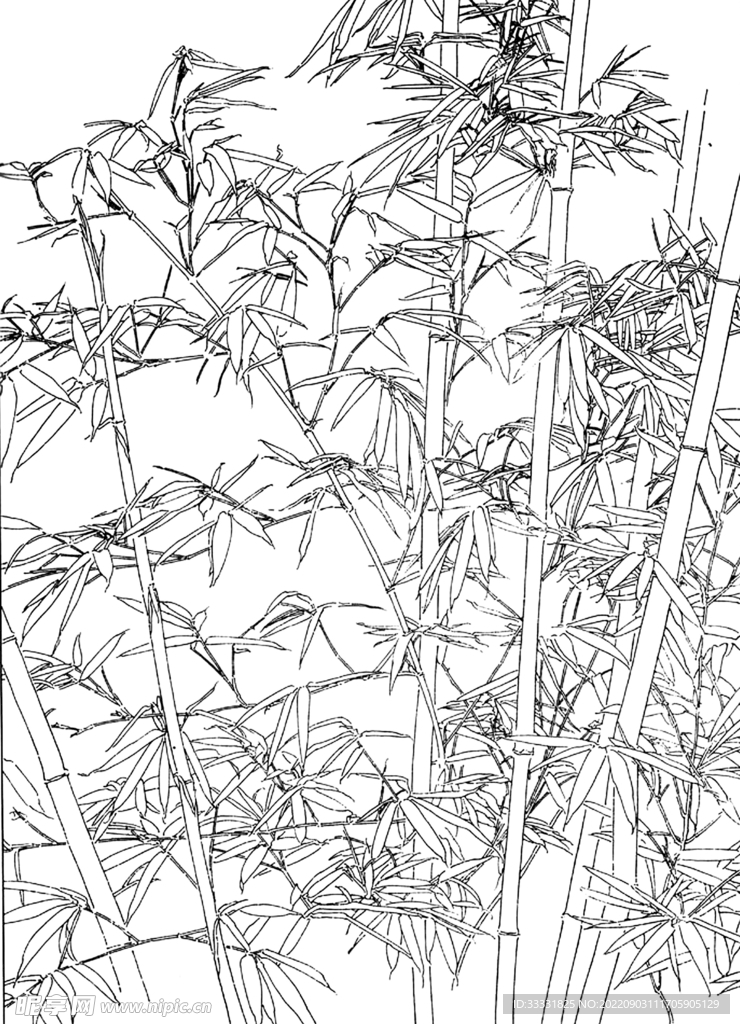 白描花卉