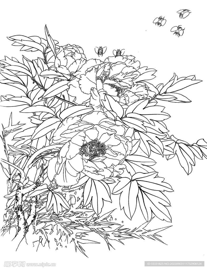 白描花卉