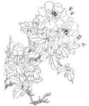 白描花卉