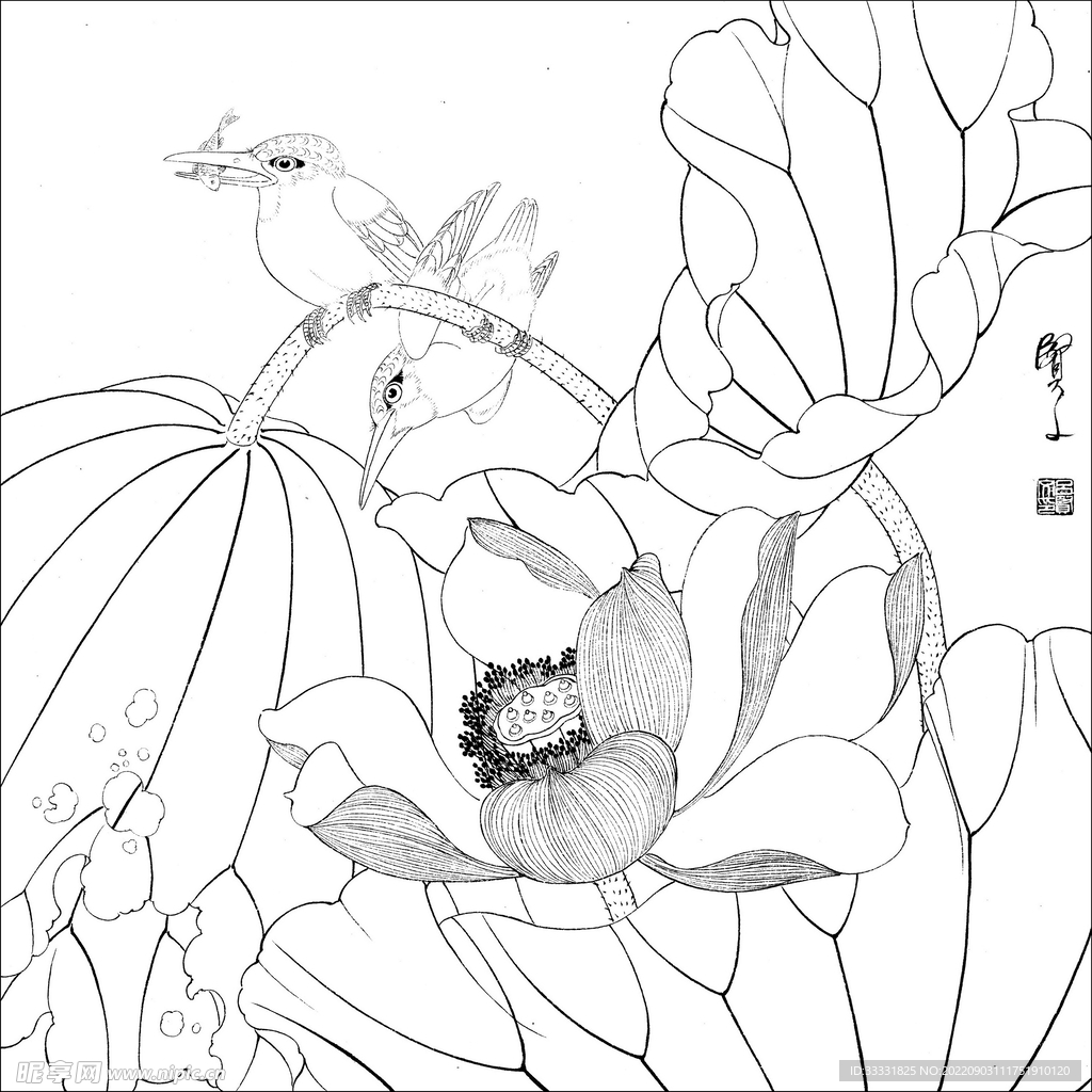 白描花卉