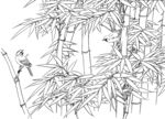 白描花卉