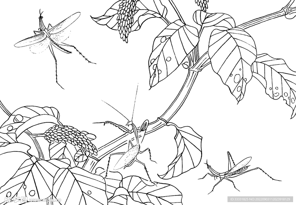 白描花卉