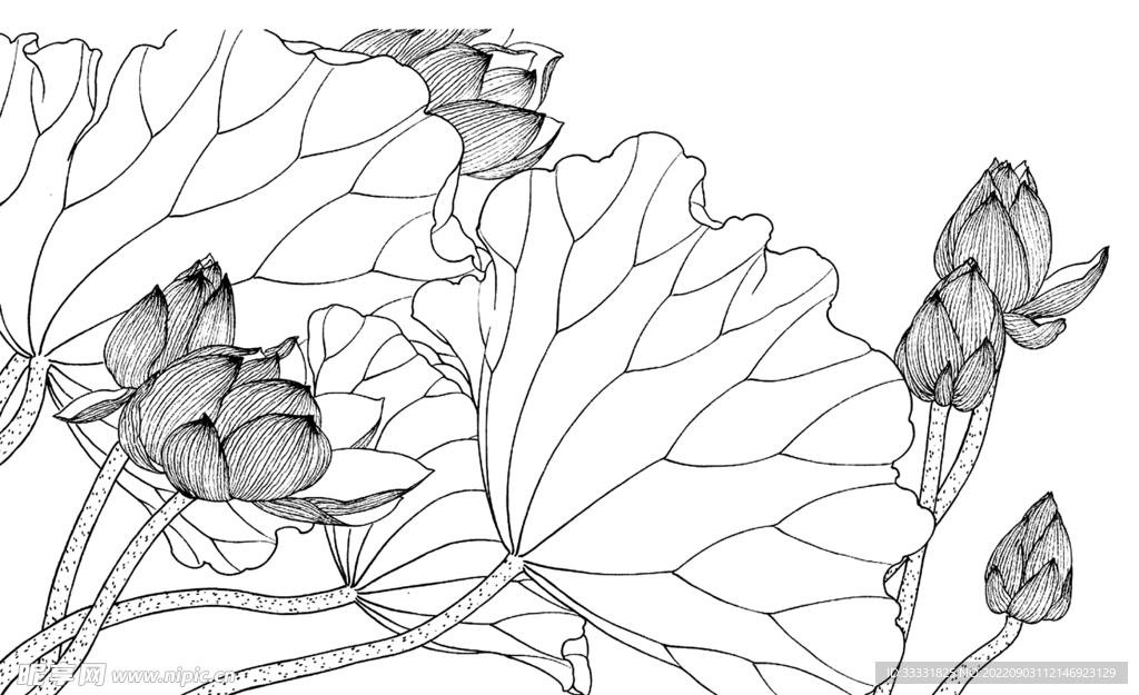 白描花卉