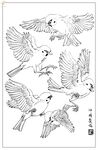 白描鸟